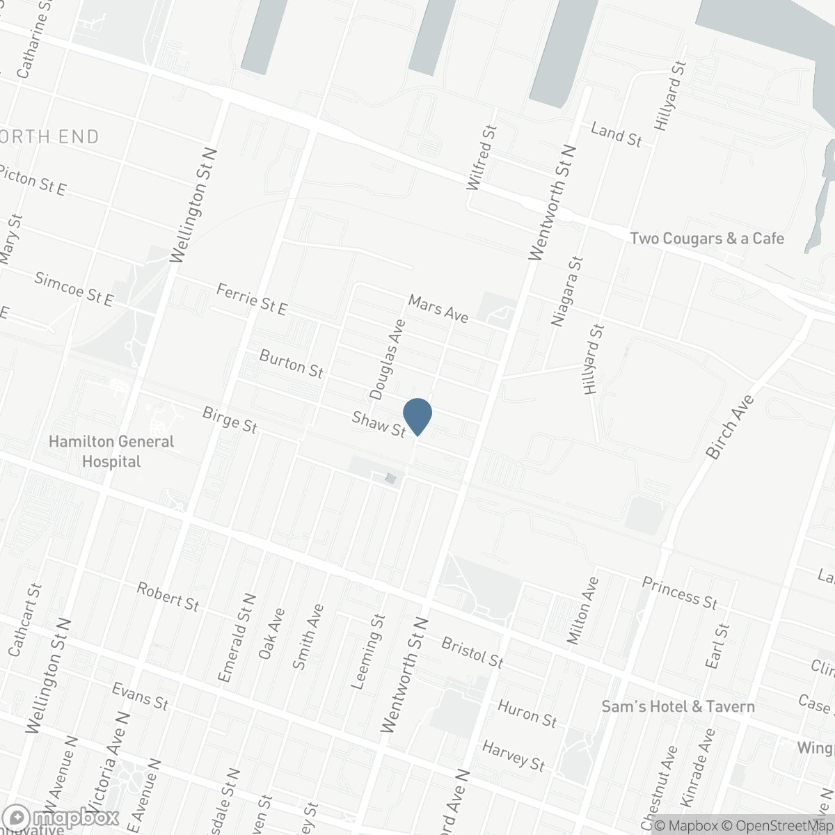99 CHEEVER STREET, Hamilton, Ontario L8L 5R8